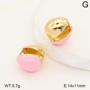 2E3004290vhkb-214  Stainless Steel Earrings