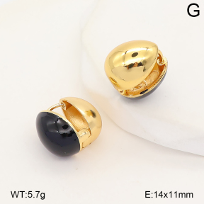 2E3004291vhkb-214  Stainless Steel Earrings