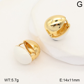 2E3004292vhkb-214  Stainless Steel Earrings
