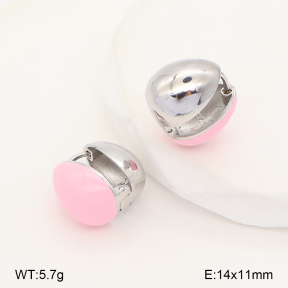 2E3004293ahjb-214  Stainless Steel Earrings