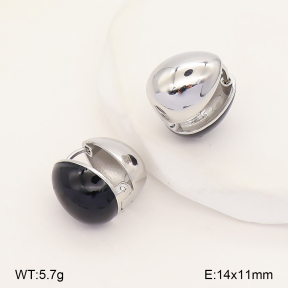 2E3004294ahjb-214  Stainless Steel Earrings