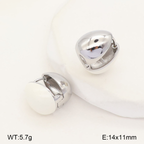2E3004295ahjb-214  Stainless Steel Earrings