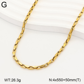 2N2009681biib-214  Stainless Steel Necklace