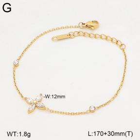 2B4006354vhhl-250  Stainless Steel Bracelet