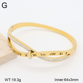 2BA403195vhha-377  Stainless Steel Bangle