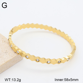 2BA403198vbpb-377  Stainless Steel Bangle