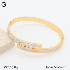 2BA403200bhva-377  Stainless Steel Bangle