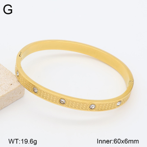 2BA403201vbpb-377  Stainless Steel Bangle