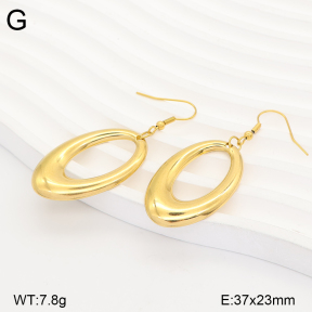 2E2007515bbov-749  Stainless Steel Earrings