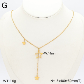 2N2009716ablb-749  Stainless Steel Necklace