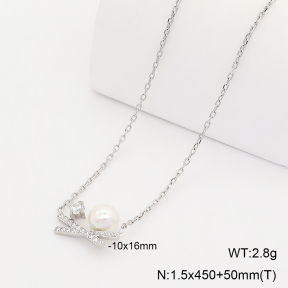 2N4005762bhil-250  Stainless Steel Necklace