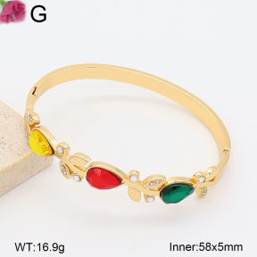 F2BA41219bhva-J39  Fashion Bangle
