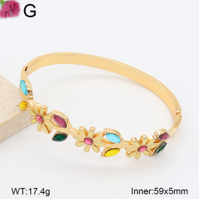 F2BA41220bhva-J39  Fashion Bangle