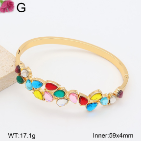 F2BA41221bhva-J39  Fashion Bangle
