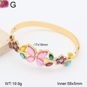 F2BA41222bhva-J39  Fashion Bangle