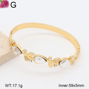 F2BA41223bhva-J39  Fashion Bangle
