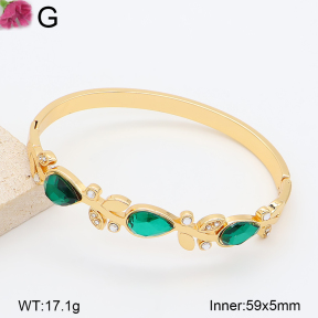 F2BA41224bhva-J39  Fashion Bangle