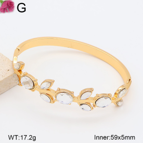 F2BA41225bhva-J39  Fashion Bangle