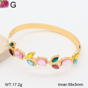 F2BA41226bhva-J39  Fashion Bangle