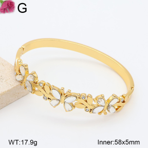 F2BA41227bhva-J39  Fashion Bangle