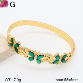 F2BA41228bhva-J39  Fashion Bangle
