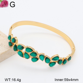 F2BA41229bhva-J39  Fashion Bangle