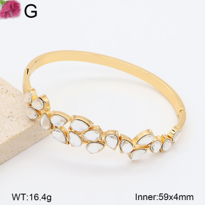 F2BA41230bhva-J39  Fashion Bangle