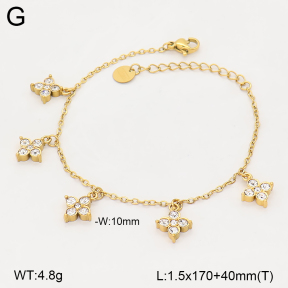 2B4006386bvpl-669  Stainless Steel Bracelet