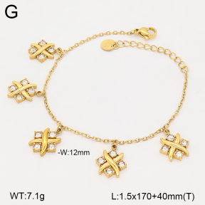 2B4006395bvpl-669  Stainless Steel Bracelet