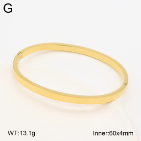 2BA203016vbnb-452  Stainless Steel Bangle