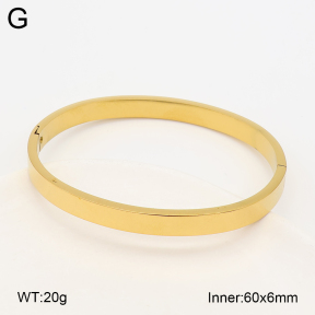 2BA203017vbnb-452  Stainless Steel Bangle