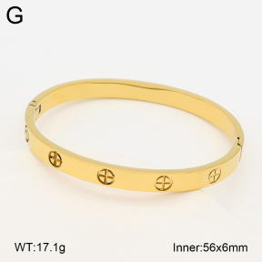 2BA203018vbnb-452  Stainless Steel Bangle