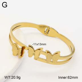 2BA203019bbov-452  Stainless Steel Bangle