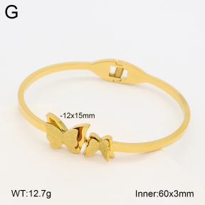 2BA203020vbnl-452  Stainless Steel Bangle