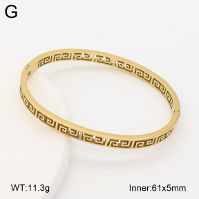 2BA203021vbnl-452  Stainless Steel Bangle