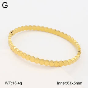 2BA203022vbnb-452  Stainless Steel Bangle