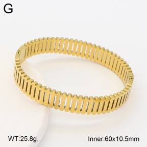 2BA203023vbnl-452  Stainless Steel Bangle