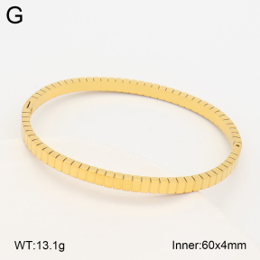 2BA203024vbnl-452  Stainless Steel Bangle
