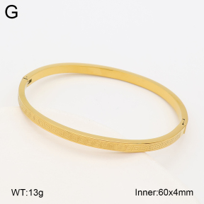 2BA203025vbnb-452  Stainless Steel Bangle