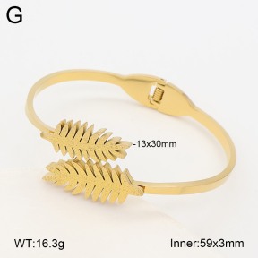 2BA203026bbov-452  Stainless Steel Bangle