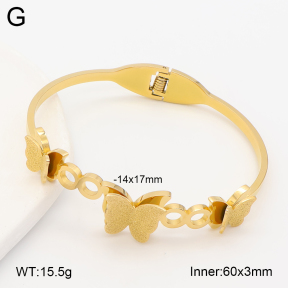 2BA203027bbov-452  Stainless Steel Bangle