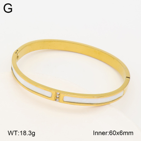 2BA300696vbnl-452  Stainless Steel Bangle