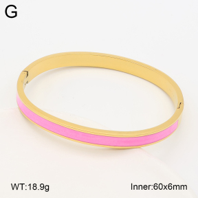 2BA300698vbnl-452  Stainless Steel Bangle