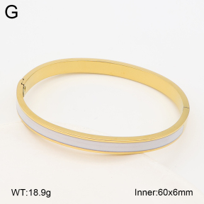 2BA300699vbnl-452  Stainless Steel Bangle