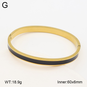 2BA300700vbnl-452  Stainless Steel Bangle