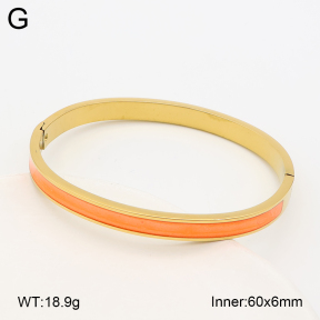 2BA300701vbnl-452  Stainless Steel Bangle