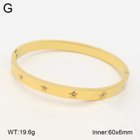 2BA403208vbnl-452  Stainless Steel Bangle