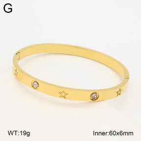 2BA403209vbnl-452  Stainless Steel Bangle