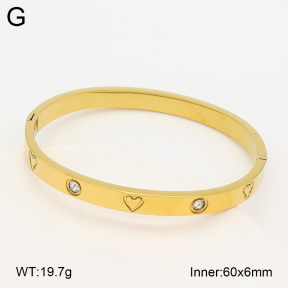 2BA403210vbnl-452  Stainless Steel Bangle
