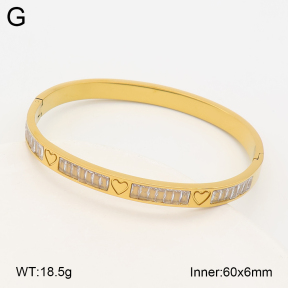 2BA403211vbnl-452  Stainless Steel Bangle